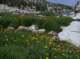 imgp0090_small.jpg
