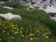 imgp0091_small.jpg