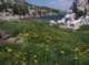 imgp0092_small.jpg