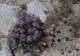 imgp0097_small.jpg