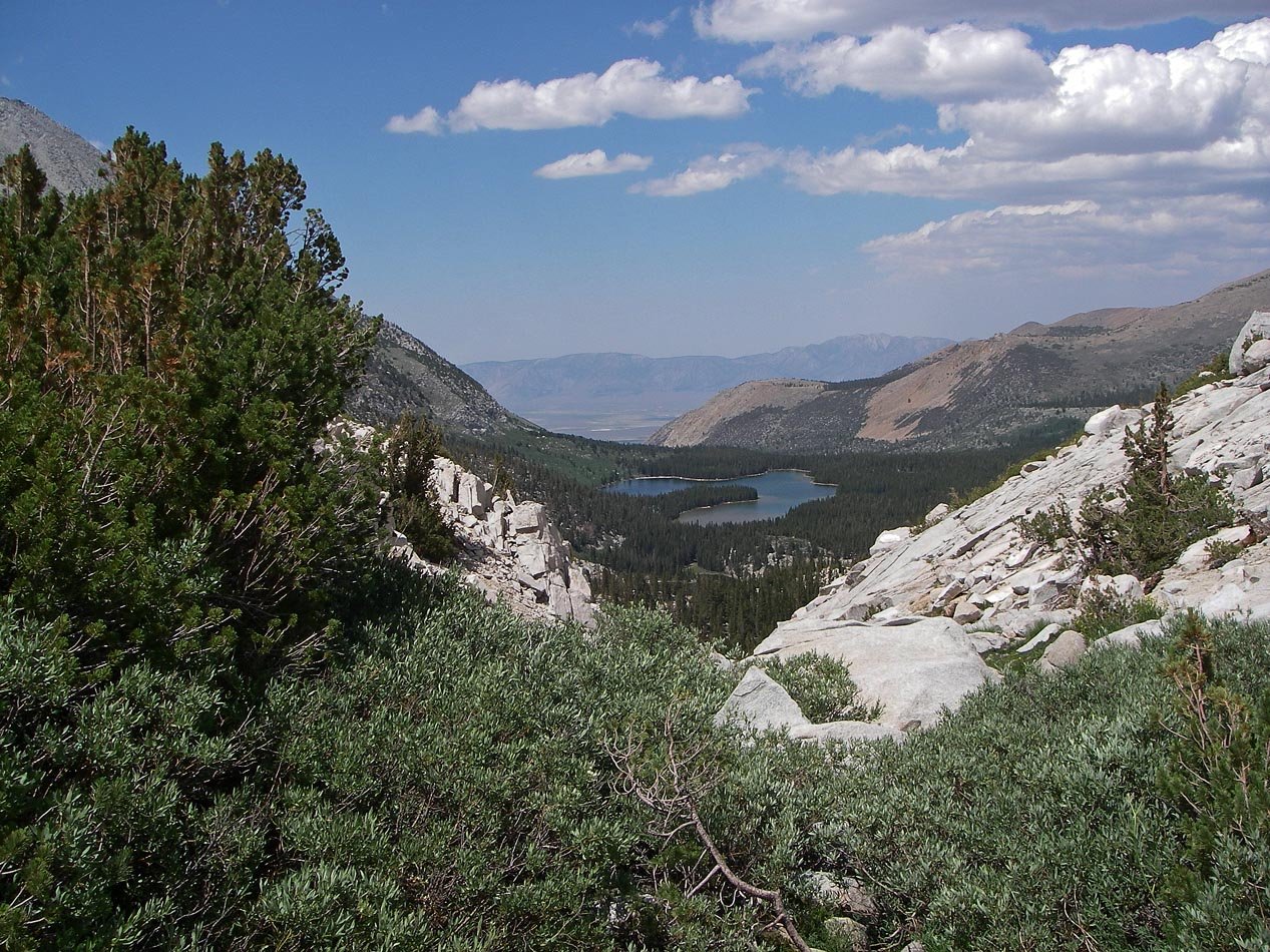 imgp0099.jpg