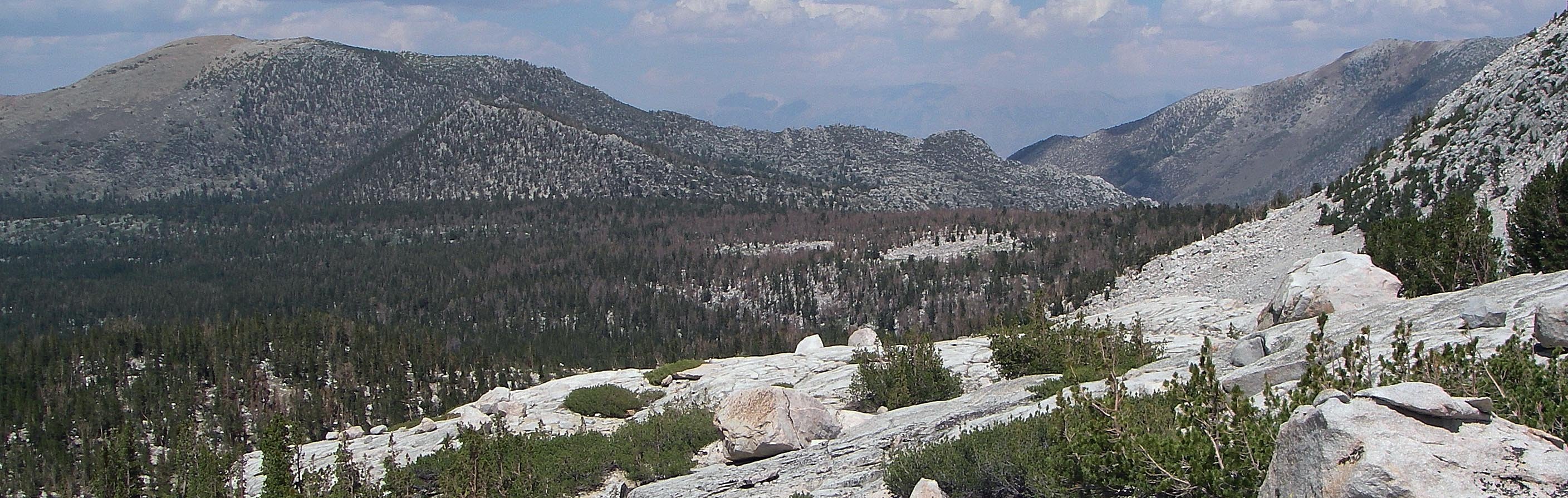 imgp0105.jpg