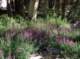 imgp0106_small.jpg