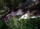 imgp0108_small.jpg