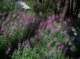 imgp0109_small.jpg