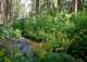 imgp0111_small.jpg