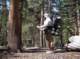 imgp0117_small.jpg