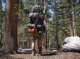 imgp0118_small.jpg