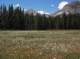imgp0159_small.jpg
