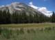 imgp0170_small.jpg