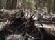 imgp0171_small.jpg