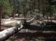 imgp0173_small.jpg