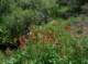 imgp0179_small.jpg