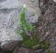 imgp0192_small.jpg