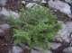imgp0195_small.jpg