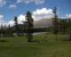 imgp0208_small.jpg