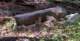 imgp0220_small.jpg