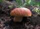 imgp0224_small.jpg