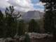 imgp0232_small.jpg