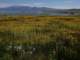 imgp7240017_small.jpg