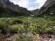 imgp7240037_small.jpg