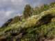 imgp7250063_small.jpg
