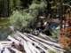 imgp7280069_small.jpg