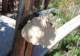 imgp7280071_small.jpg