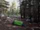 imgp7290073_small.jpg