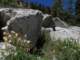 imgp7290081_small.jpg