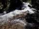 imgp7290096_small.jpg
