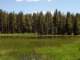 imgp7290097_small.jpg