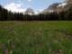imgp7290101_small.jpg