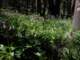 imgp7300111_small.jpg