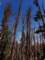 imgp7300112_small.jpg
