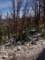 imgp7300116_small.jpg