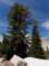 imgp7300131_small.jpg