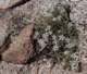 imgp7300138_small.jpg