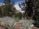 imgp8010153_small.jpg