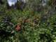 imgp8010157_small.jpg