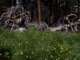 imgp8010169_small.jpg
