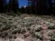 imgp8030178_small.jpg