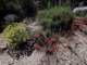 imgp8030179_small.jpg