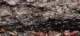 imgo7190023_small.jpg