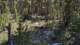 imgg250811_112958_small.jpg