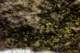 imgo8120150_small.jpg