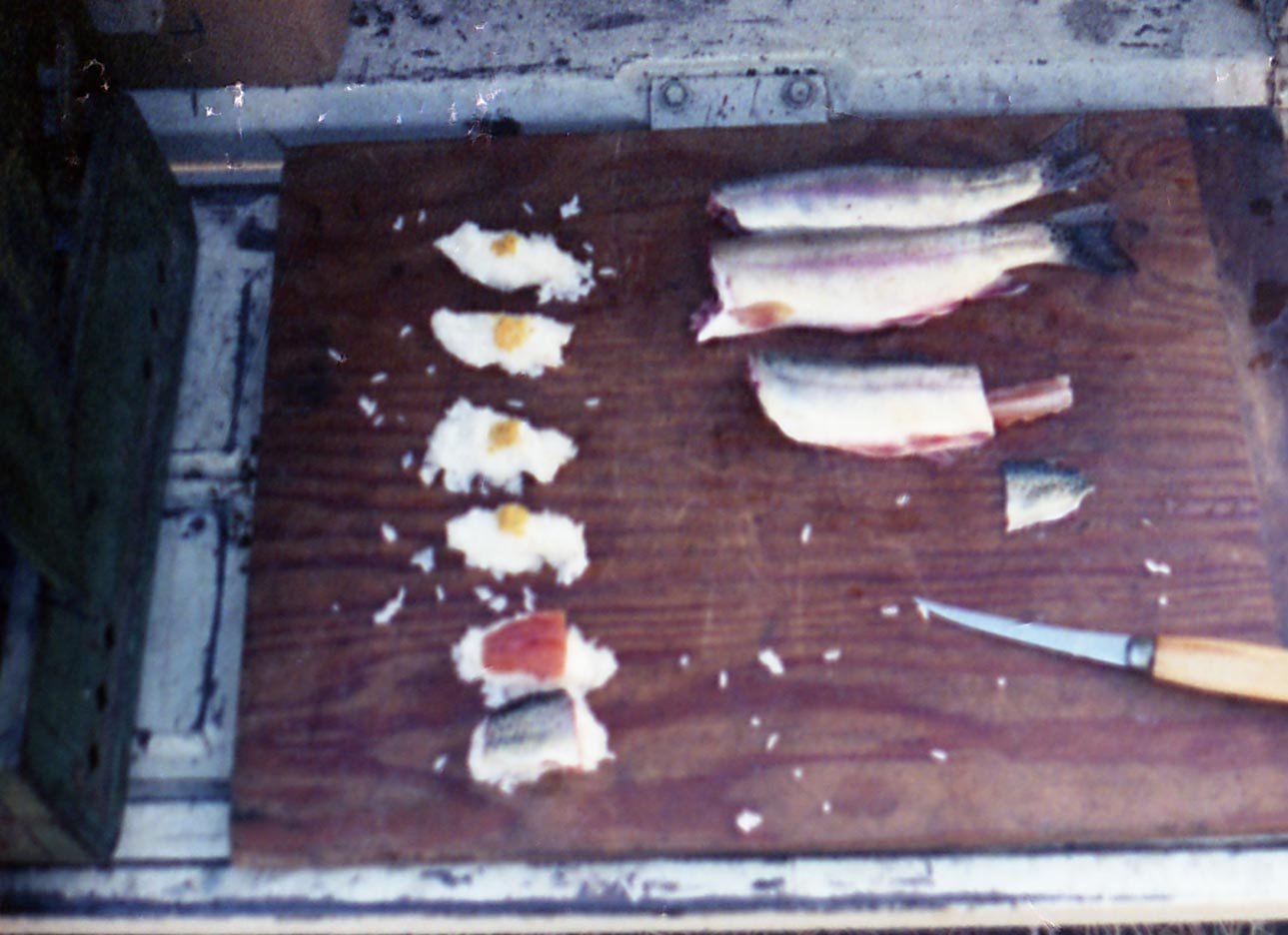 Making sushi outof golden trout in the High Sierra 1987