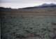 roll4_009_small.jpg