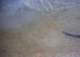 roll4_017_small.jpg
