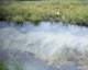 roll4_018_small.jpg